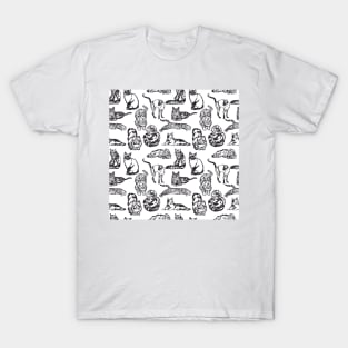 Cats! T-Shirt